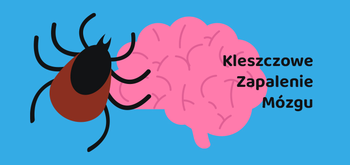 5 Kleszczowe Zapalenie Mozgu
